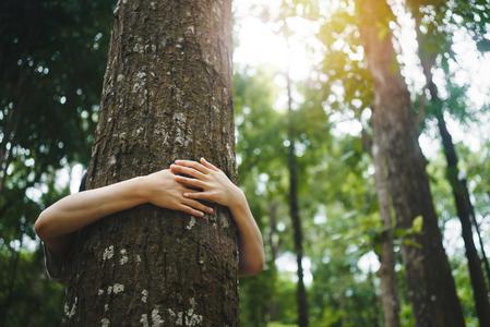 Junge Frau umarmt im Wald einen Baum