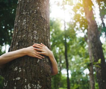 Junge Frau umarmt im Wald einen Baum